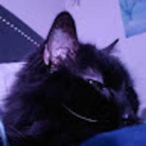 Meet your Posher, Jackson